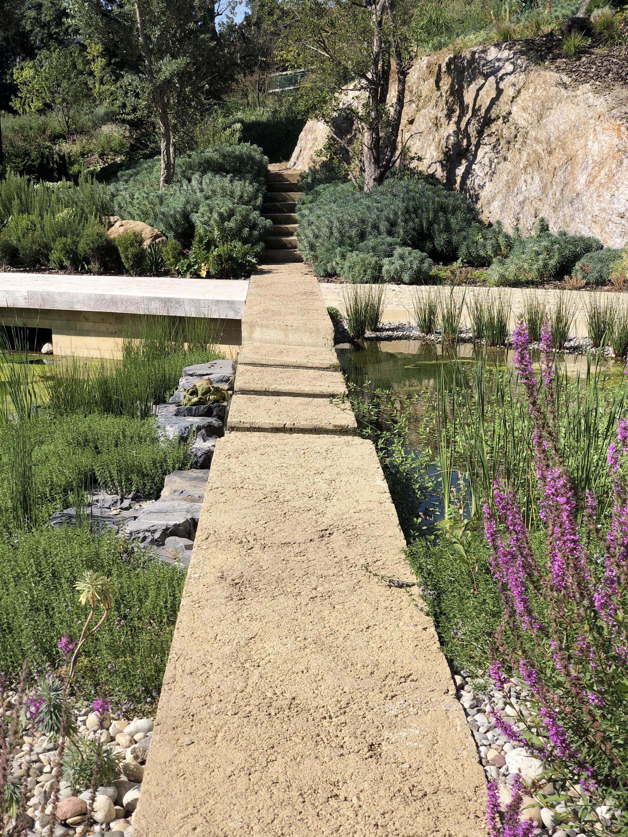 Gehweg durch Vegetation