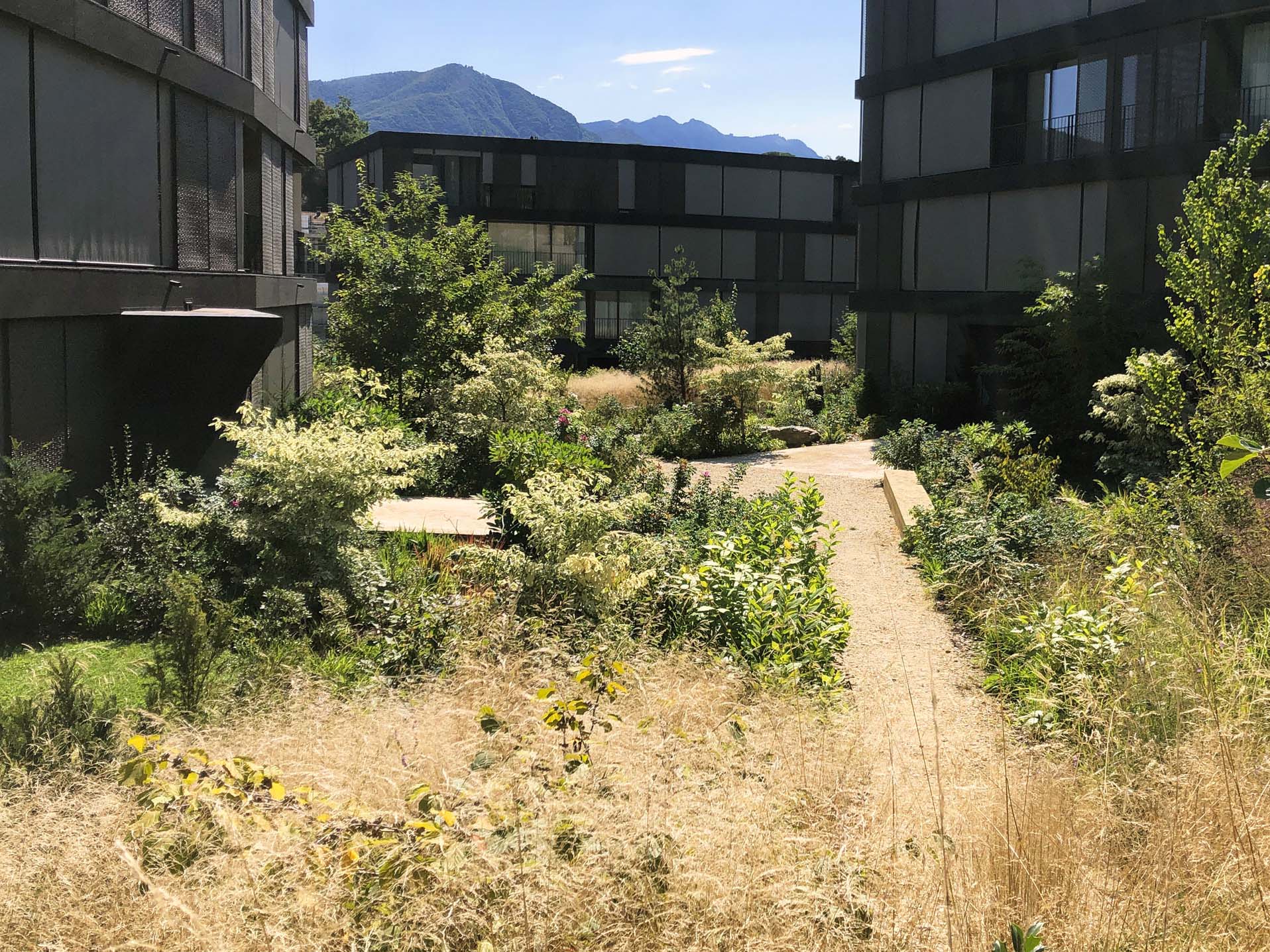 Wohnhäuser mit Grünflächen