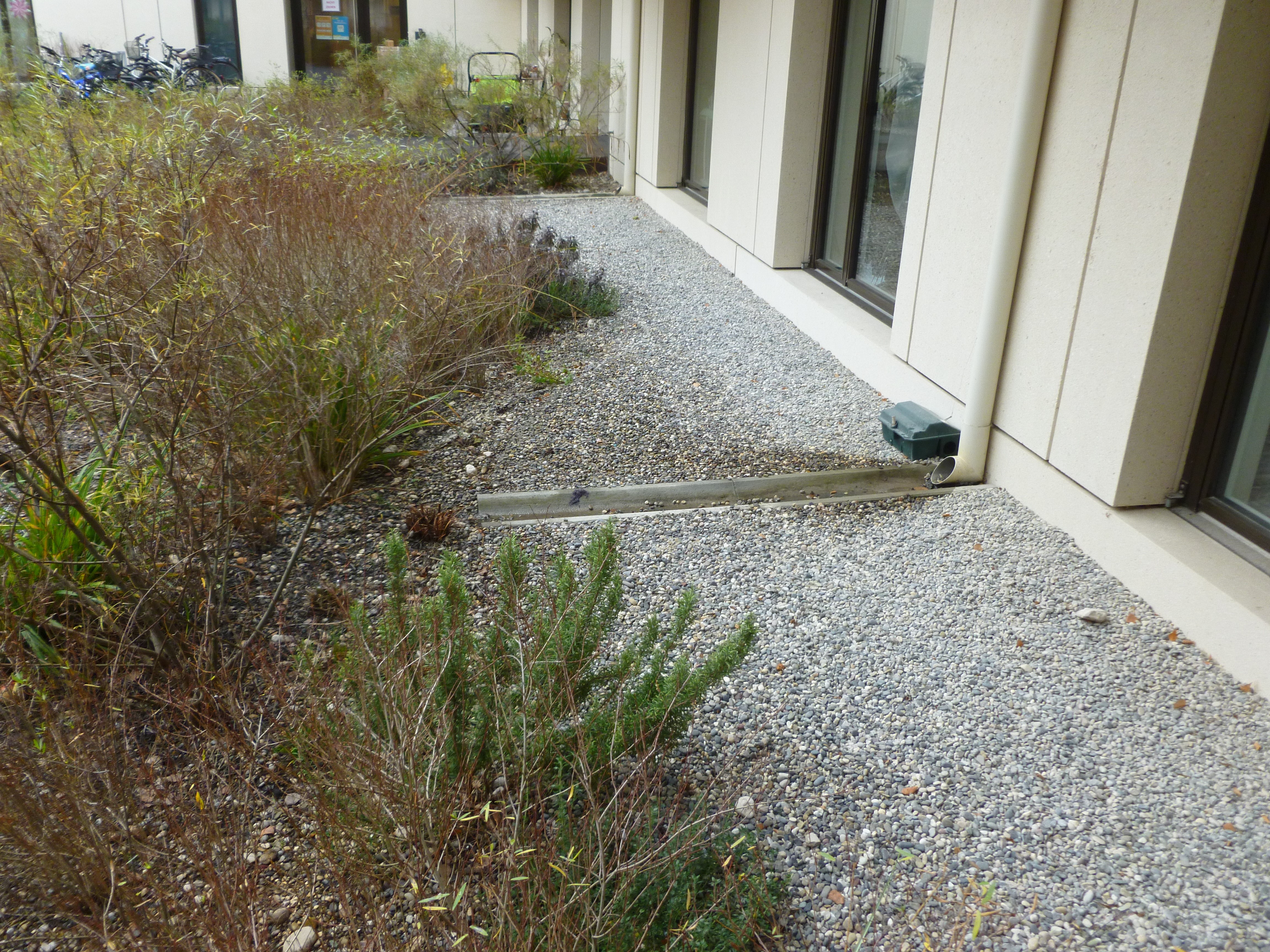 Einfache oberflächliche Leitung zur Versickerungsmulde