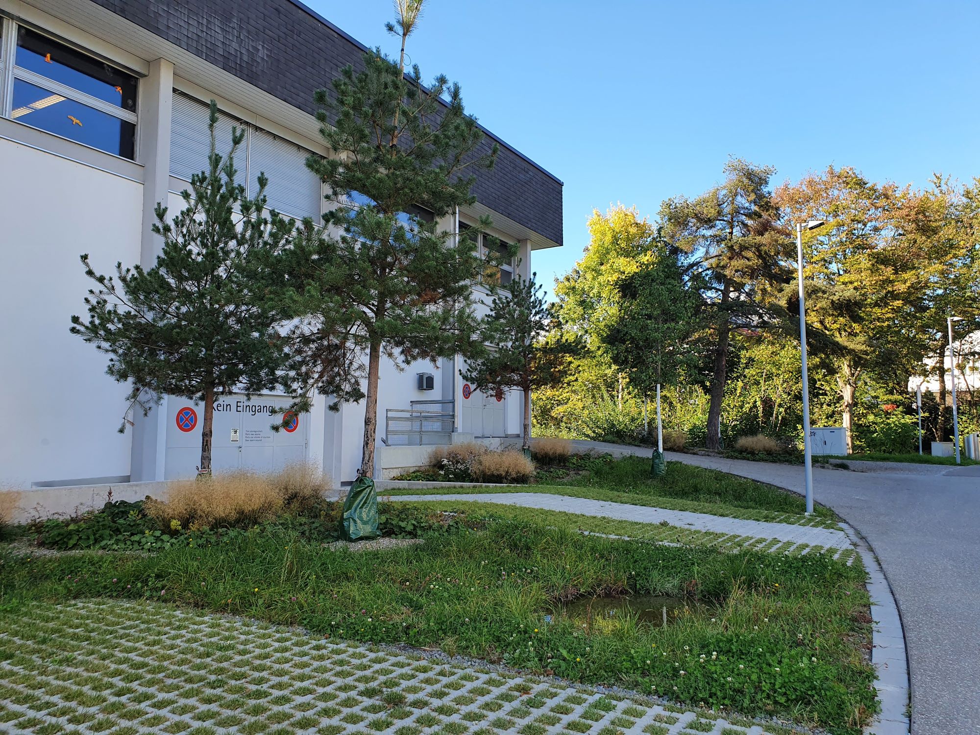 Parkplätze mit Rasengittersteinen